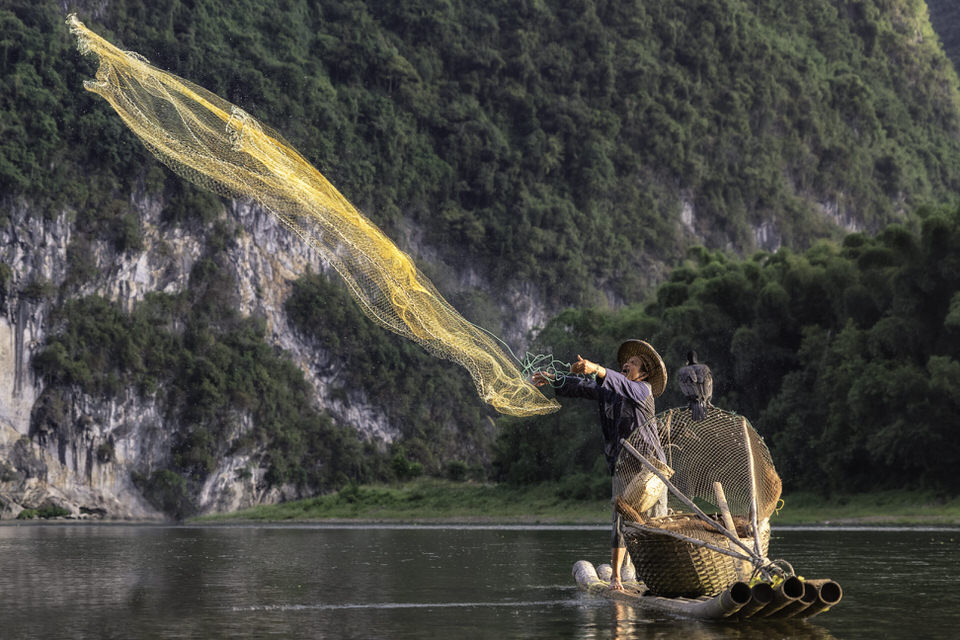 Cormorant fisherman casting a yellow net at sunrise on the Li River in Guilin, China.