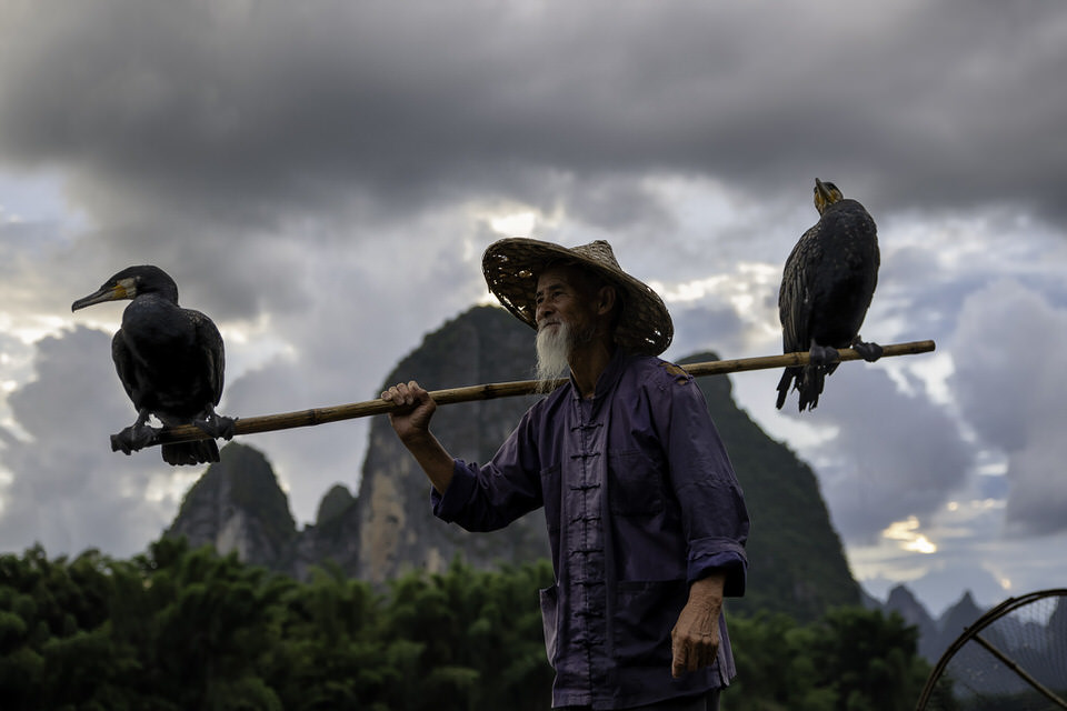 Cormorant fisherman with two birds on a pole at sunset on the Li River in Guilin, China.